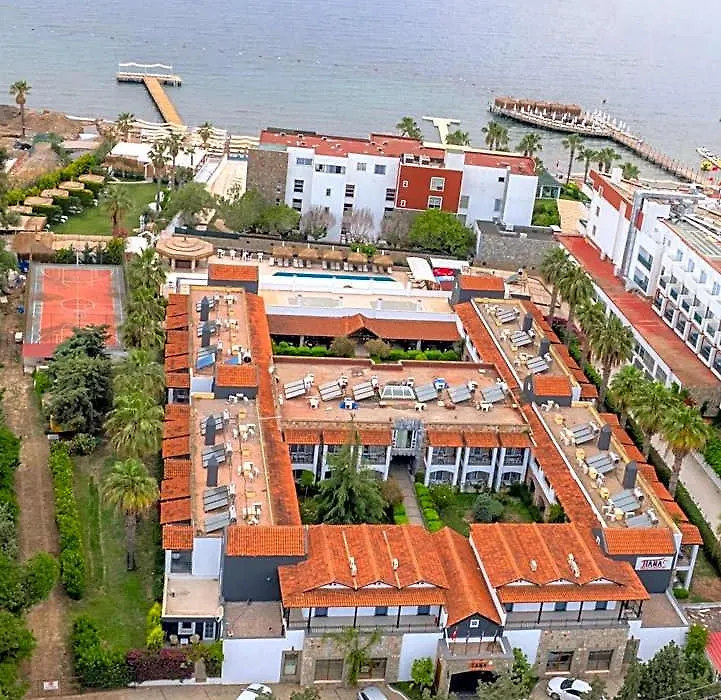 Tiana Beach Resort-1